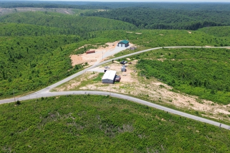 Country Home for Sale in Lewis County, Tennessee - image 10