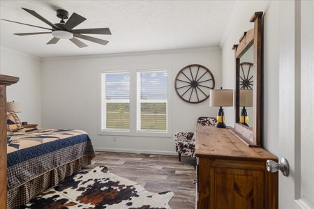 Country Home for Sale in Lewis County, Tennessee - image 32