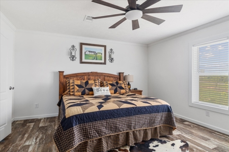 Country Home for Sale in Lewis County, Tennessee - image 33