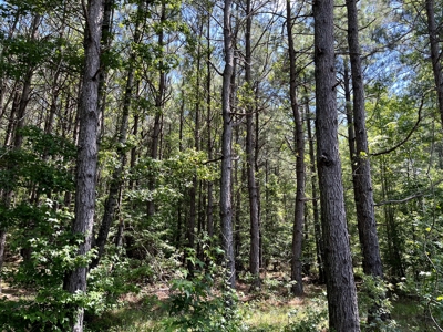 Edge 40± Acres For Sale in Hot Spring County, Arkansas - image 2