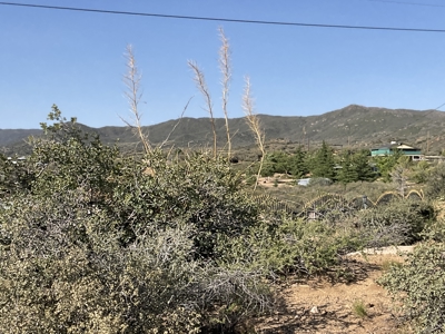 Wilhoit AZ Land for Sale No HOA - image 1