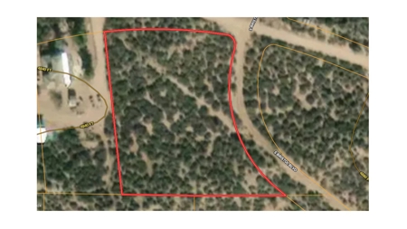 Wilhoit AZ Land for Sale No HOA - image 6