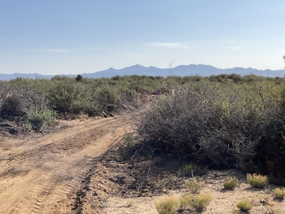 Wilhoit AZ Land for Sale No HOA - image 3