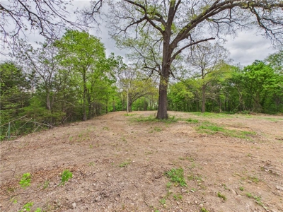 Development Land Hwy 62 Frontage & Long Creek For Sale - image 4