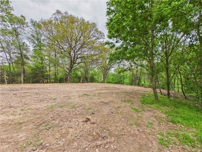 Development Land Hwy 62 Frontage & Long Creek For Sale - image 14
