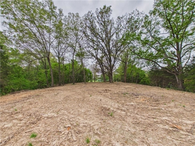 Development Land Hwy 62 Frontage & Long Creek For Sale - image 21