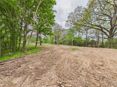 Development Land Hwy 62 Frontage & Long Creek For Sale - image 19