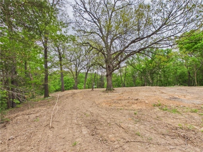 Development Land Hwy 62 Frontage & Long Creek For Sale - image 5
