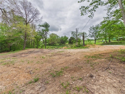 Development Land Hwy 62 Frontage & Long Creek For Sale - image 1