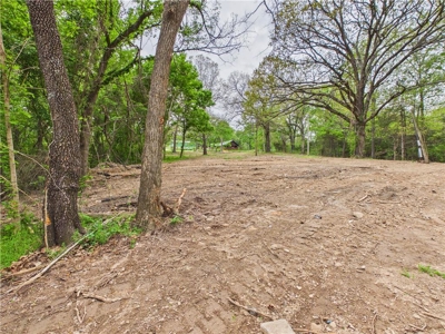 Development Land Hwy 62 Frontage & Long Creek For Sale - image 15