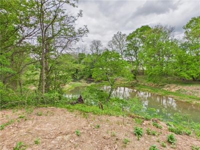 Development Land Hwy 62 Frontage & Long Creek For Sale - image 8