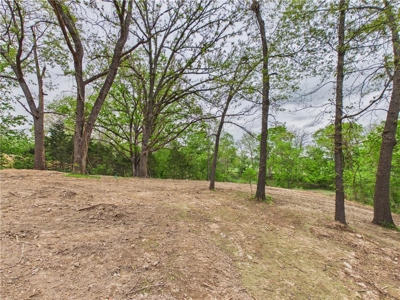Development Land Hwy 62 Frontage & Long Creek For Sale - image 16