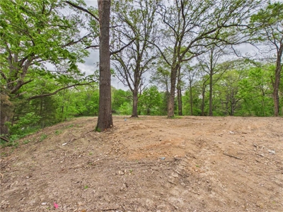 Development Land Hwy 62 Frontage & Long Creek For Sale - image 27