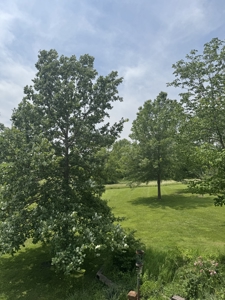 Home and 10 Acres For Sale in Lamoni, Iowa - image 36