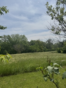 Home and 10 Acres For Sale in Lamoni, Iowa - image 39