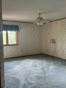 Home and 10 Acres For Sale in Lamoni, Iowa - image 20