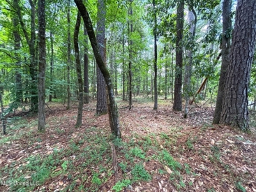 Listing 195