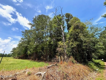 Listing 195