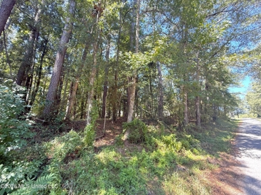 Listing 195