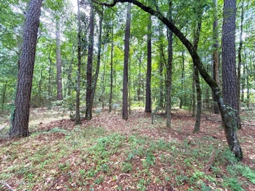 Listing 195