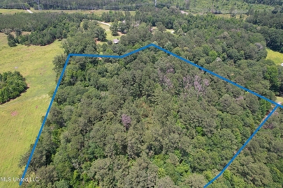 Listing 195