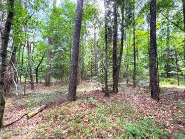 Listing 195