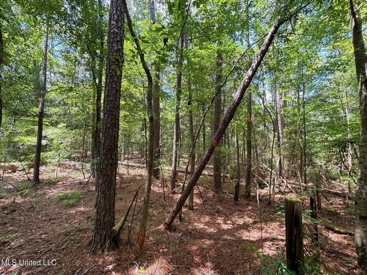 Listing 195