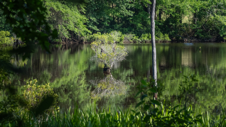Premier Texas Ranch for Sale Cattle Horses Hunting Fishing - image 43