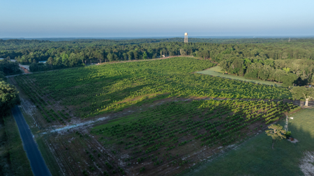 Premier Texas Ranch for Sale Cattle Horses Hunting Fishing - image 35