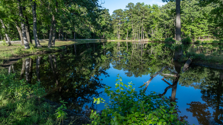 Premier Texas Ranch for Sale Cattle Horses Hunting Fishing - image 34