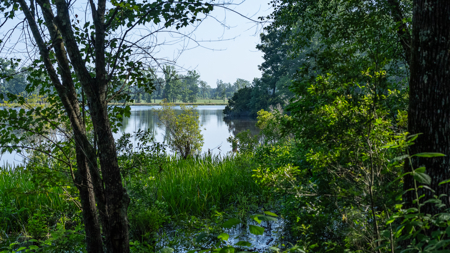 Premier Texas Ranch for Sale Cattle Horses Hunting Fishing - image 42