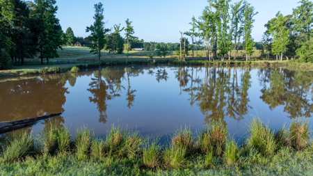 Premier Texas Ranch for Sale Cattle Horses Hunting Fishing - image 33