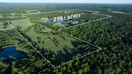 Premier Texas Ranch for Sale Cattle Horses Hunting Fishing - image 3