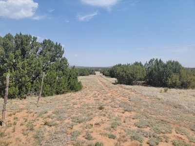 42 Acres with Mountain Views in Estancia NM – No Covenants - image 1