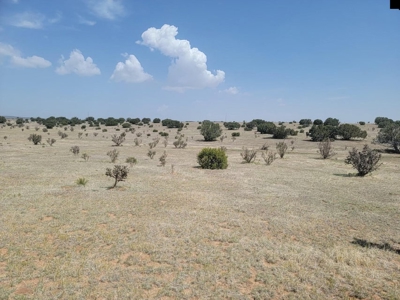 42 Acres with Mountain Views in Estancia NM – No Covenants - image 2