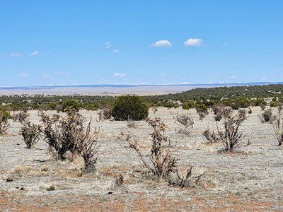 40 Acres with Mountain Views in Estancia NM – Horse Friendly - image 1