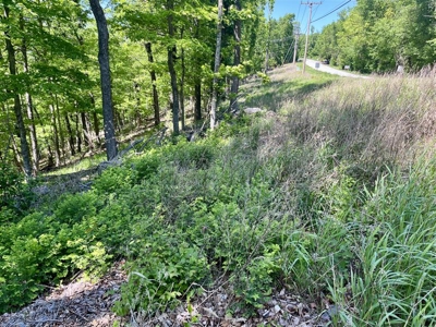 Prime 0.56-Acre Lot Near Lake & Golf – Invest or Build - image 6