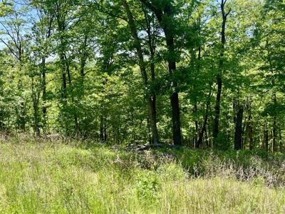 Prime 0.56-Acre Lot Near Lake & Golf – Invest or Build - image 7
