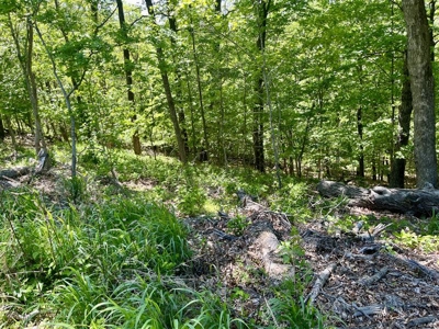 Prime 0.56-Acre Lot Near Lake & Golf – Invest or Build - image 10
