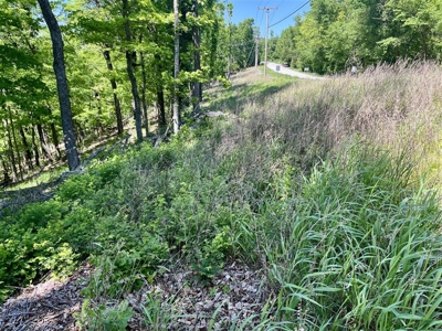 Prime 0.56-Acre Lot Near Lake & Golf – Invest or Build - image 9