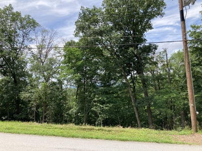 Prime 0.56-Acre Lot Near Lake & Golf – Invest or Build - image 3