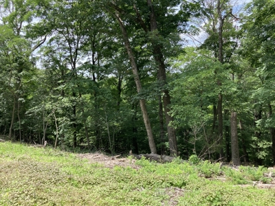 Prime 0.56-Acre Lot Near Lake & Golf – Invest or Build - image 4
