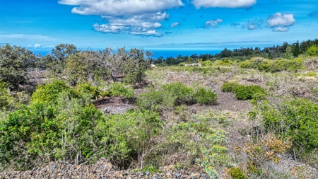 Off-grid Hawaii cabin w/ 2BR, 1.5BA, solar, ocean views on 1 Acre - image 28