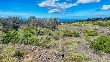 Off-grid Hawaii cabin w/ 2BR, 1.5BA, solar, ocean views on 1 Acre - image 32