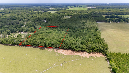 5 Acres of Vacant Land For Sale in Trenton, FL - image 4
