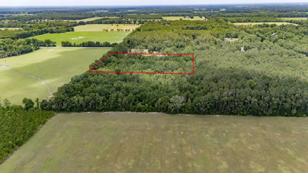 5 Acres of Vacant Land For Sale in Trenton, FL - image 1