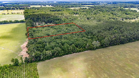 5 Acres of Vacant Land For Sale in Trenton, FL - image 2
