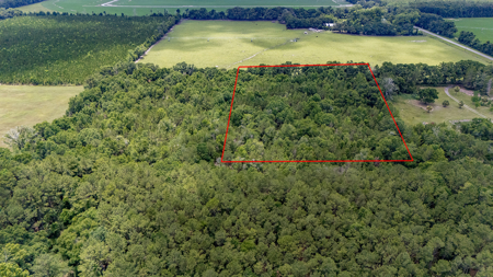 5 Acres of Vacant Land For Sale in Trenton, FL - image 8