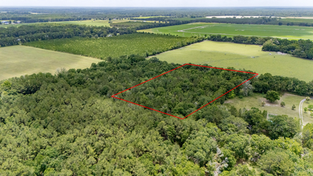 5 Acres of Vacant Land For Sale in Trenton, FL - image 7