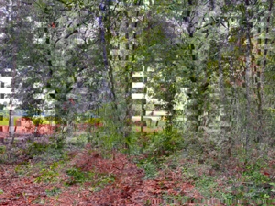 5 Acres of Vacant Land For Sale in Trenton, FL - image 12